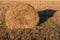 Hay texture golden straws close-up bulgaria sunny orange yellow nature ecology rural sharp focus