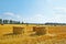 Hay vertical rolls on harvest field.