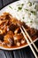Hayashi Japanese rice with beef, onions and mushrooms close-up o