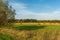 Haybale at a field with green grass and dry hrass. Autumn landscape on a sunny day