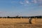 Haybales and Assisi