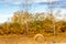 Haybales in fall fields. Wheatland County, Alberta, Canada