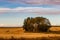 Haybales in fall fields. Wheatland County, Alberta, Canada