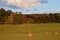 Haybales in Field