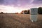 Haybales in front of a purple sky in the evening