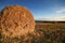 Haybales nr Prawle Point Devon