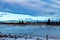 Haybales sitting by a frozen pond. Sibbald Creek Trail, Alberta, Canada