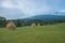 Haycock in Borsa, Maramures, Romania