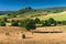 Haycock and trees in sunny tuscan countryside, Italy