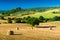 Haycock and trees in sunny tuscan countryside, Italy