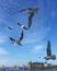 Haydarpasa railway terminal and seagulls in Istanbul, Turkey.