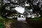 Hayes St. pedestrian gate to Golden Gate Park, 2.