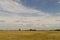 Hayfield. Meadow in the early autumn. Dry plants around. Green trees far away. Dark heaven with white clouuds above