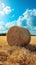 Hayfield serenity Landscape with a solitary hay bale under blue