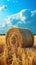 Hayfield serenity Landscape with a solitary hay bale under blue