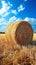 Hayfield serenity Landscape with a solitary hay bale under blue