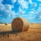 Hayfield serenity Landscape with a solitary hay bale under blue
