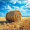 Hayfield serenity Landscape with a solitary hay bale under blue