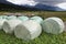 Haylage bales in Austria