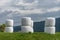 Haylage bales wrapped in white foil will provide food for farm animals during the winter. A green meadow and trees after summer