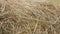 Hayloft dry grass. Large stack of hay or straw close up view.