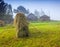 Haymaking in a Carpathian village.