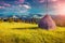 Haymaking in a Carpathian village.