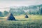 Haymaking in a Carpathian village. Goggy summer view of mountain valley with fresh grass and blooming flowers, Ukraine, Europe.