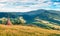 Haymaking in a Carpathian village. Sunny summer morning of mountain valley with fresh grass, Ukraine, Europe. Beauty of