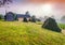 Haymaking in Carpathian village. Ukraine, Europe