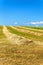 Haymaking on the field in the Czech Republic - Europe. Agricultural landscape. Hot summer day on the farm