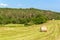 Haymaking on the field in the Czech Republic - Europe. Agricultural landscape. Hot summer day on the farm