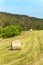 Haymaking on the field in the Czech Republic - Europe. Agricultural landscape. Hot summer day on the farm