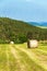 Haymaking on the field in the Czech Republic - Europe. Agricultural landscape. Hot summer day on the farm