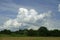 Haymaking in the floodplain of the Pripyat River. Flooded meadows. Horizontal shot of a sultry summer