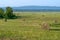 Haymaking, harvesting in the fields and hills