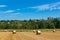 Haymaking in italian fields