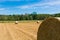 Haymaking in italian fields