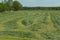 Haymaking in the meadow.