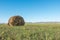 Haymaking meadow with background of mountains. East Kazakhstan Region