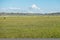 Haymaking meadow with background of mountains. East Kazakhstan Region