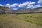 Haymaking in the mountains. Altai, Russia.