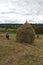 Haymaking season in Ukrainian Carpathian villages, women work in the field, throwing and raking hay by hand in the field