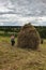 Haymaking season in Ukrainian Carpathian villages, women work in the field, throwing and raking hay by hand in the field