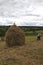 Haymaking season in Ukrainian Carpathian villages, women work in the field, throwing and raking hay by hand in the field