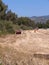 Haymaking at Skala Kalloni Lesvos Greece