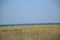 Haymaking, summer, russia, landscape, july