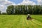 Haymaking tracktors in Flanders field