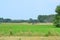 Haymaking tracktors in Flanders field