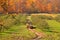 Hayride on pickup truck in autumn apple orchard